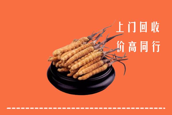 高价求购：武汉硚口区回收散虫草