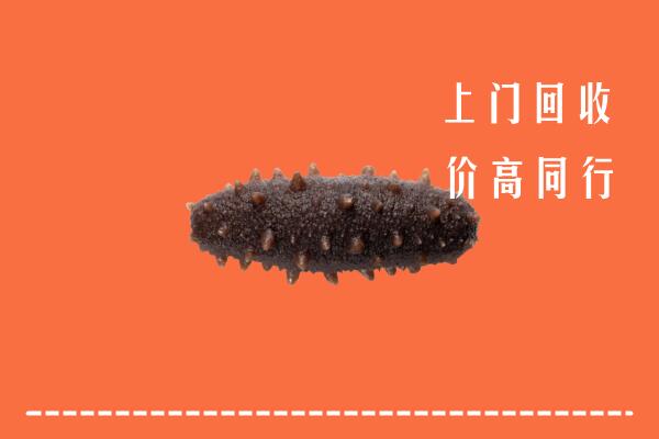 高价求购：武汉硚口区回收海参