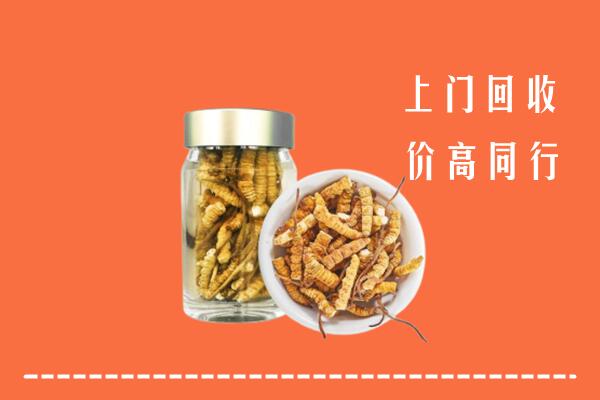 武汉硚口区回收冬虫夏草