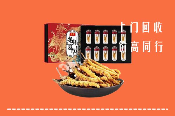 武汉硚口区回收虫草